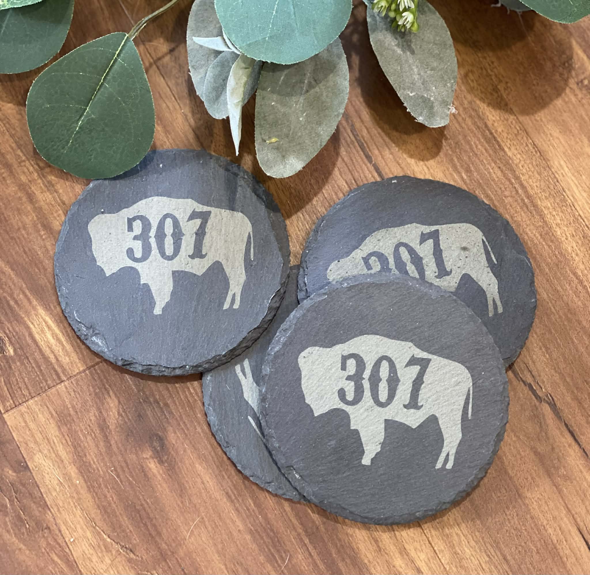 307 Buffalo Coasters